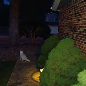 收聽Gothkross的Lovefool歌詞歌曲