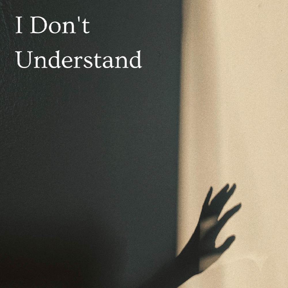 I Don't Understand
