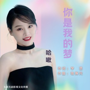 Listen to 你是我的梦 (伴奏) song with lyrics from 冯海琼