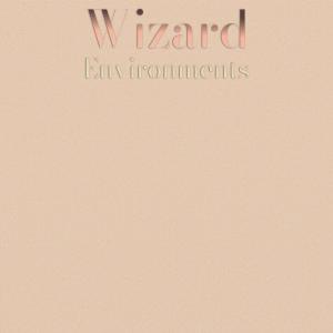 อัลบัม Wizard Environments ศิลปิน Various