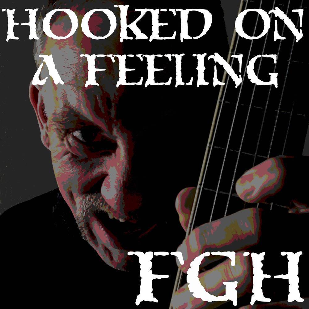 Hooked on a Feeling (Acoustic Cover)