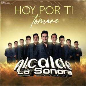 收听Alcalde La Sonora的Hoy Por Ti Tomaré歌词歌曲
