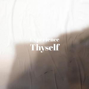 Album Experience Thyself oleh Various