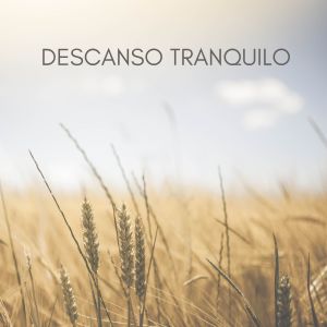 Listen to Sosiego y calma song with lyrics from Respiración pausada