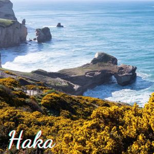 Listen to Toia Mai Te Waka song with lyrics from Unknown Artist