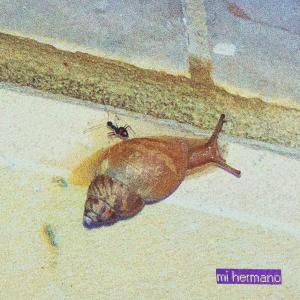 收聽yoro的mi hermano (feat. Dreh) (Explicit)歌詞歌曲