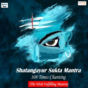 Listen to Shatangayur Sukta Mantra 108 Times Chanting (The Wish Fulfilling Mantra) song with lyrics from Ravi Dhanraj