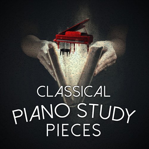 Piano Trio No. 1 in B-Flat Major, Op. 99: II. Andante un poco mosso