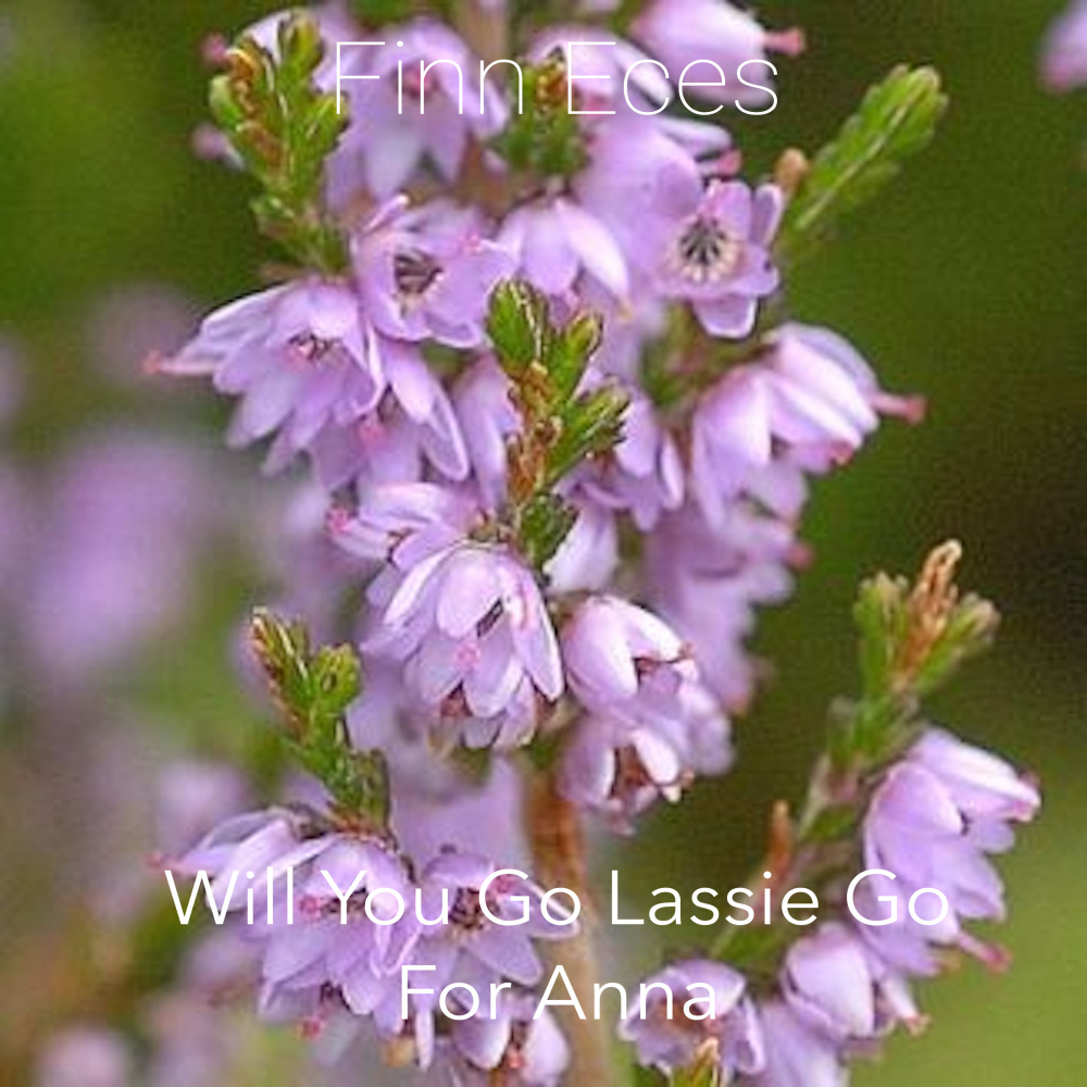 Will You Go Lassie Go For Anna