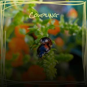 Listen to Overenthusiastic song with lyrics from RAON