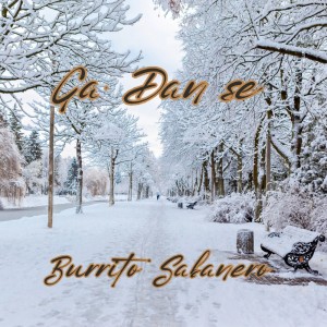 Album Burrito Sabanero from GaDanSe