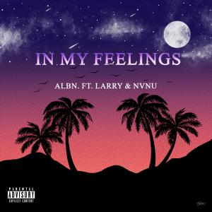 ALBIN.的專輯In My Feelings (feat. Larry & NVNU)