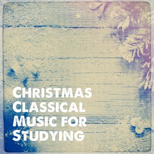 收听Southwest German Chamber Orchestra的Concerto grosso in g minor, op. 6 / 8 "Christmas concerto": II. Allegro歌词歌曲