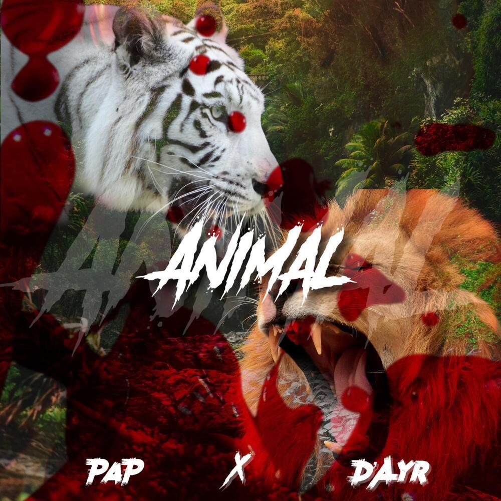 Animal (Explicit)