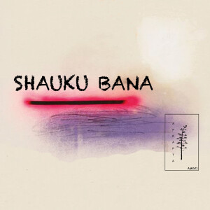 ดาวน์โหลดและฟังเพลง Shauku Bana พร้อมเนื้อเพลงจาก Basti Grub
