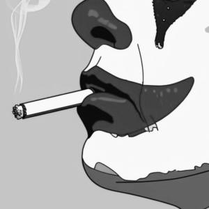 RobbyTrouble的專輯Opa nannte mich damals schon Betrüger