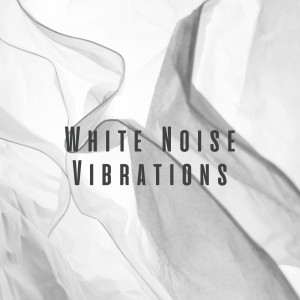 อัลบัม White Noise Vibrations ศิลปิน The White Noise