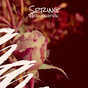 Album Spring Rejuvenation oleh Various Artists