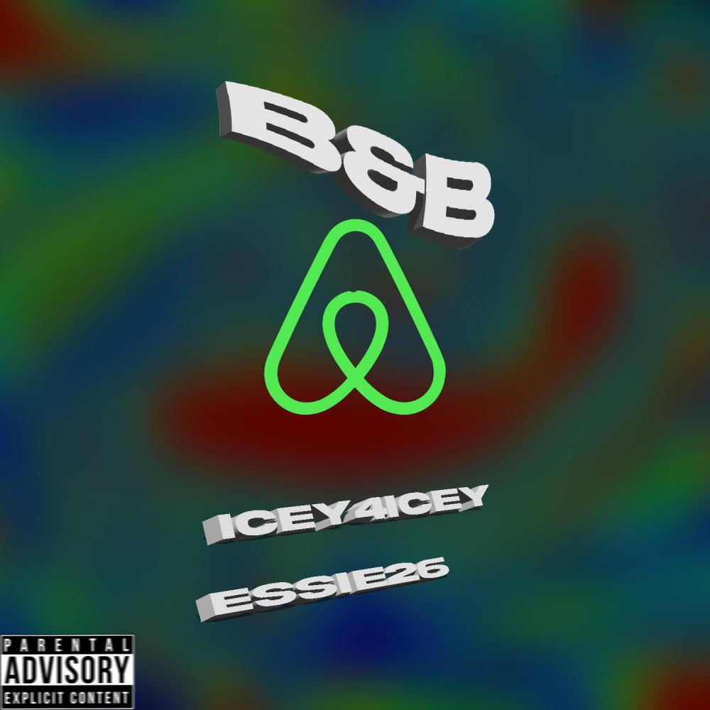B&B (feat. Icey4Icey) (Explicit)