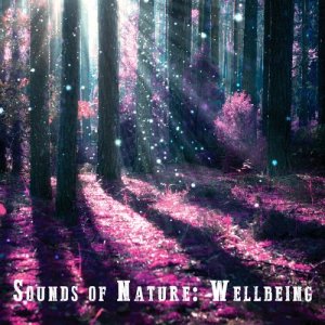 The Healing Sounds of Nature的專輯Sounds of Nature: Wellbeing