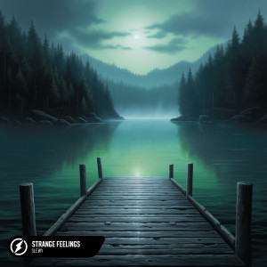 收聽slewy的Strange Feelings歌詞歌曲