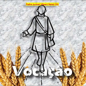 收聽Padre Jucinei Vilpert Natal CSJ.的Vocação (Pastoral da Juventude Nacional Remix)歌詞歌曲