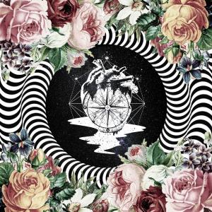 Listen to My Heart's In A Maze song with lyrics from Tim Schaufert