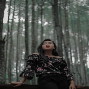 Album Sampai Disini from Nyong Dewa