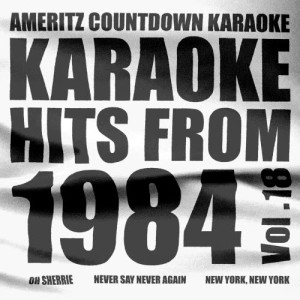 收聽Ameritz Countdown Karaoke的Never Never (In the Style of the Assembly) [Karaoke Version] (Karaoke Version)歌詞歌曲