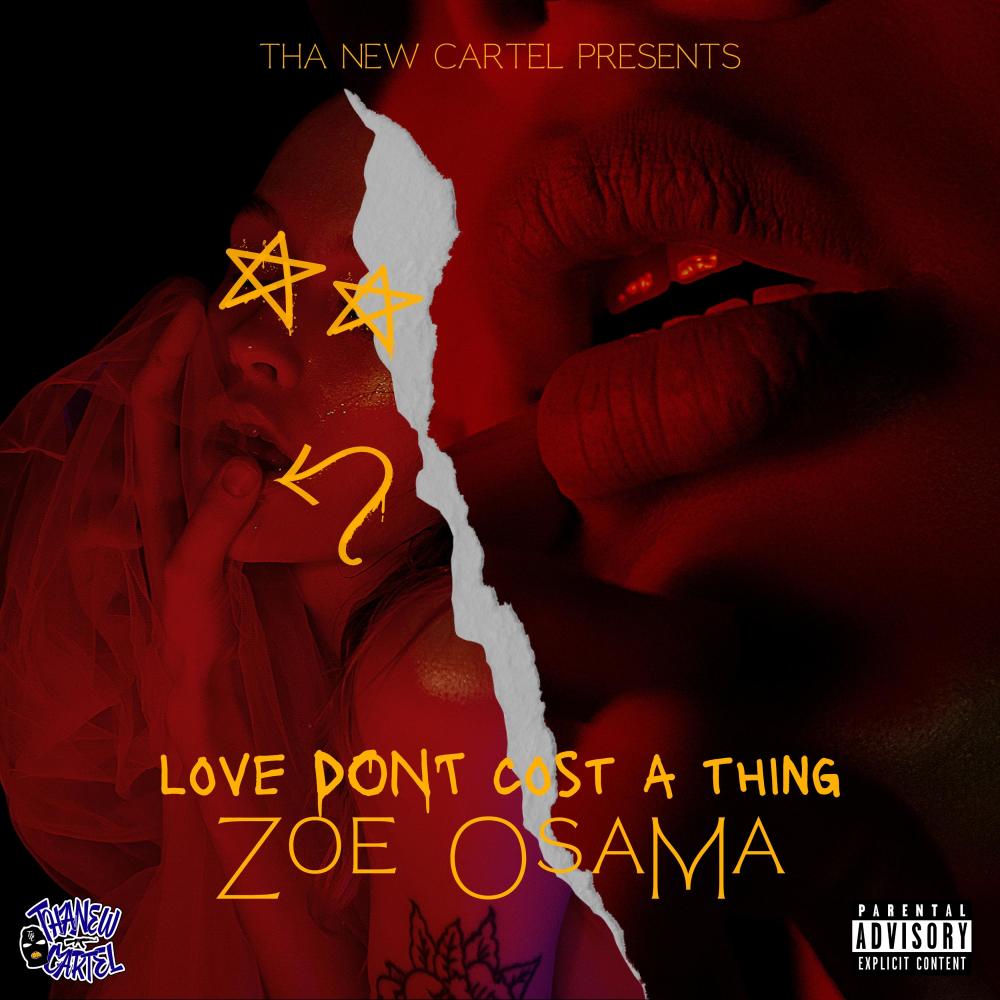 Love Dont Cost a Thing (Explicit)
