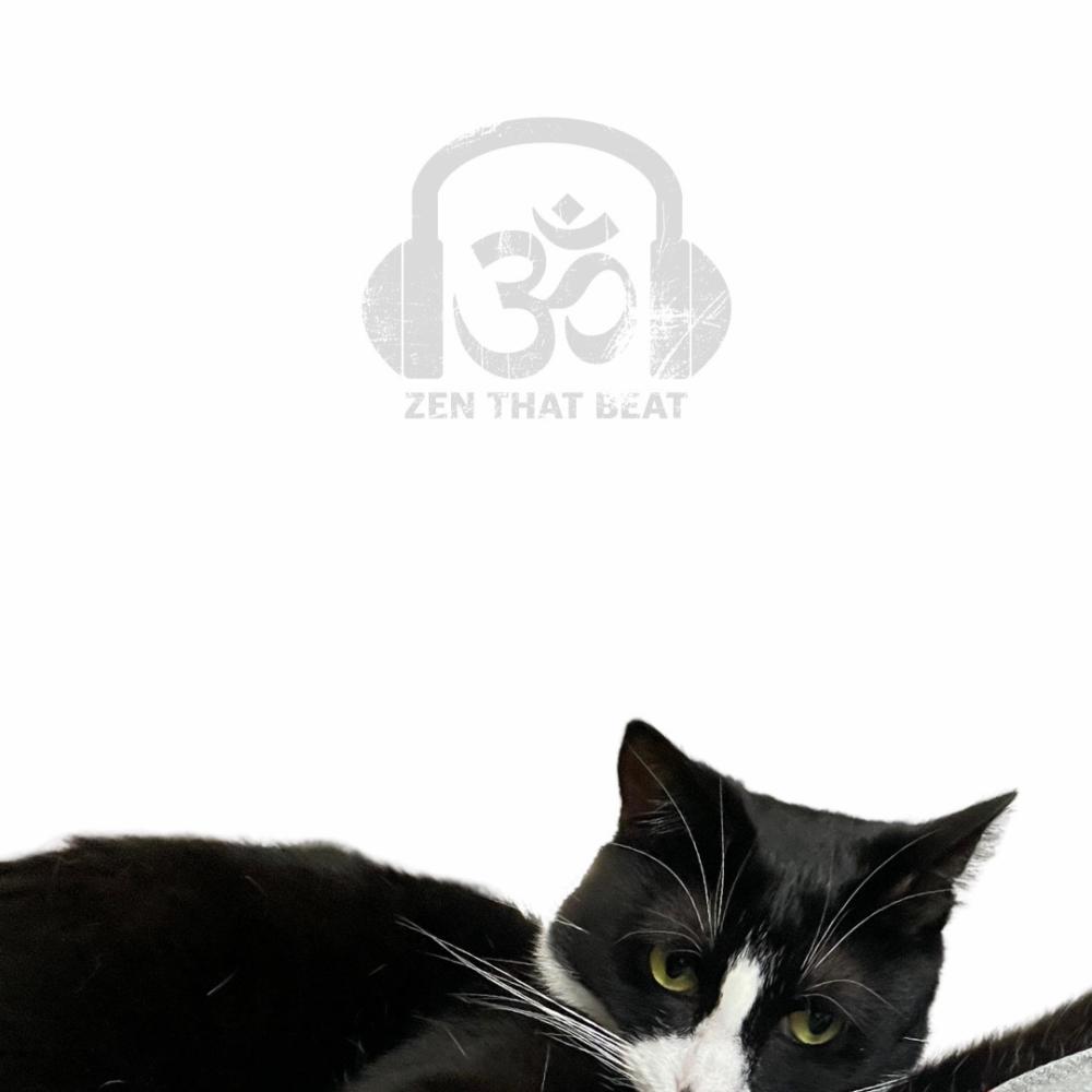In Closing (Radio Edit)