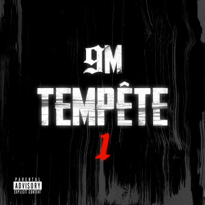 Listen to Tempête 1 (Explicit) song with lyrics from 9M