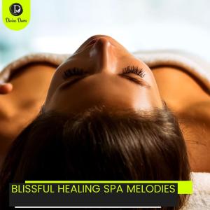 Album Blissful Healing Spa Melodies from Various