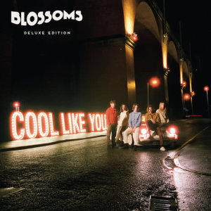 收聽Blossoms的There's A Reason Why (I Never Returned Your Calls)歌詞歌曲