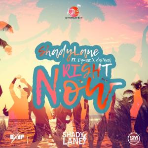 ดาวน์โหลดและฟังเพลง Right Now (feat. DaPixel) พร้อมเนื้อเพลงจาก ShadyLane