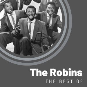 Dengarkan lagu Truble nyanyian The Robins dengan lirik