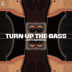 Dengarkan Turn Up The Bass (Extended Mix) lagu dari Lntx dengan lirik