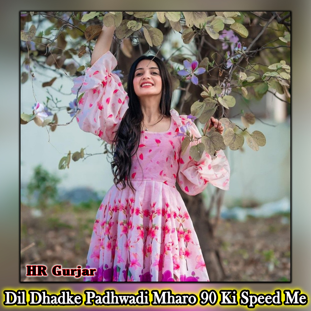 Dil Dhadke Padhwadi Mharo 90 Ki Speed Me