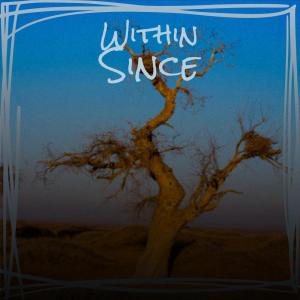 Album Within Since from Various