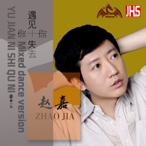 Listen to 遇见你失去你 (DJ版伴奏) song with lyrics from 赵嘉