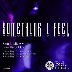 ดาวน์โหลดและฟังเพลง Something I Feel (Johnny Fiasco's  rub) พร้อมเนื้อเพลงจาก Johnny Fiasco