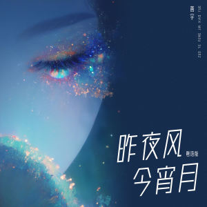 ดาวน์โหลดและฟังเพลง 昨夜风今宵月 (粤语版) พร้อมเนื้อเพลงจาก 善宇