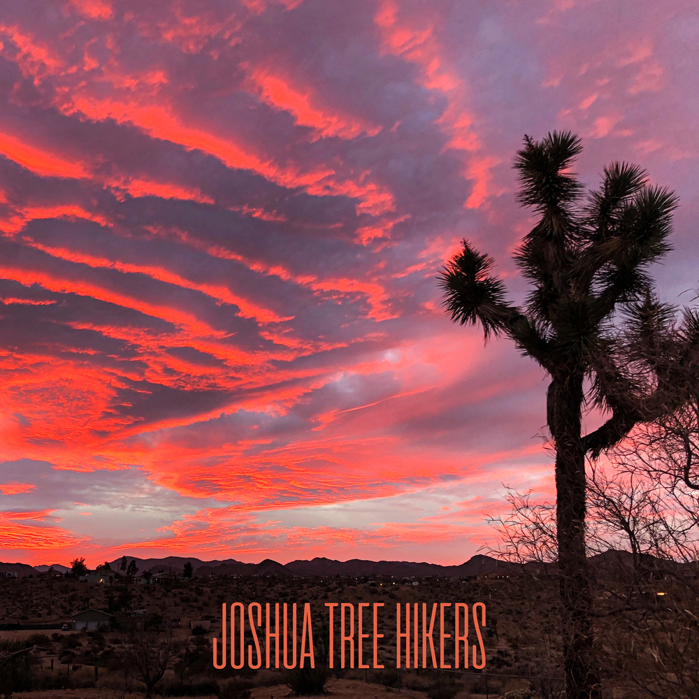 Desert Rain With Lizards In Joshua Tree (Seamless)
