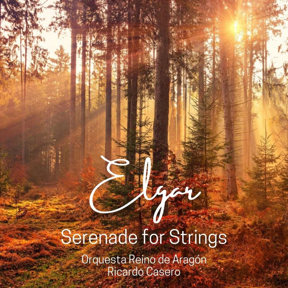 Serenade for Strings in E Minor, Op. 20: II. Larghetto