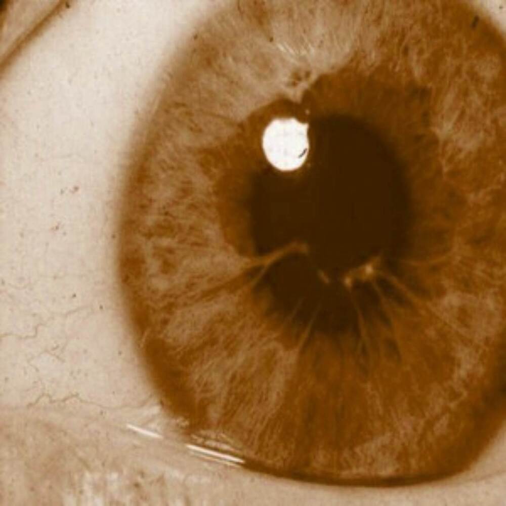 brown in your eyes