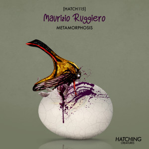 Album Metamorphosis from Maurizio Ruggiero