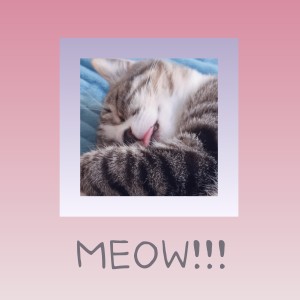 Listen to MEOW!!! (完整版) song with lyrics from FLuoRiTe