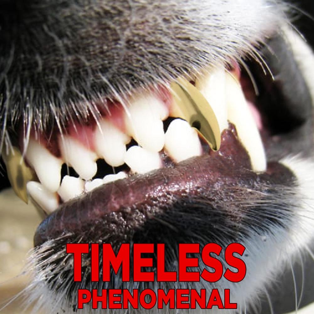 Timeless (Explicit)
