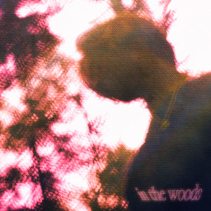 ดาวน์โหลดและฟังเพลง In The Woods พร้อมเนื้อเพลงจาก Raymond McMahon