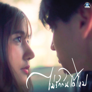 Dengarkan ไม่รักกันได้ไหม lagu dari T_T ทีที dengan lirik